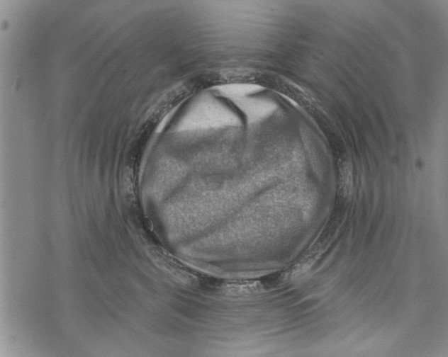 X0000073890571200609082126