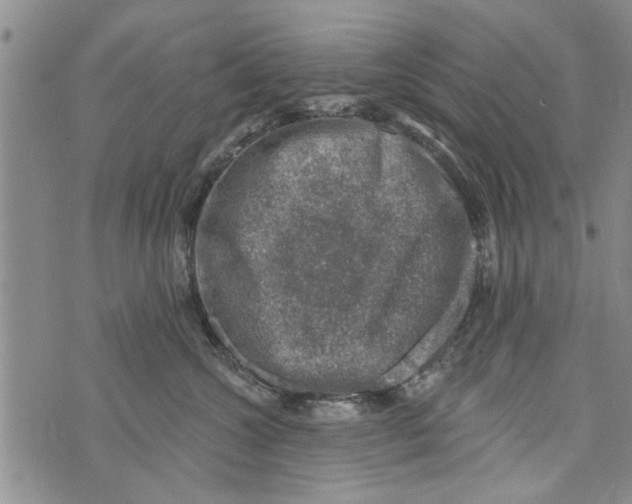 X0000073890572200609082126