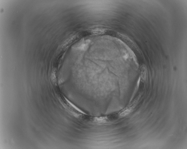 X0000073890573200609082126