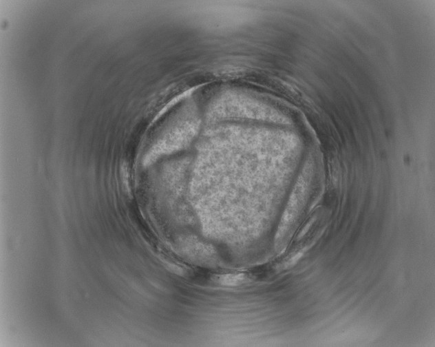 X0000073890575200609082126