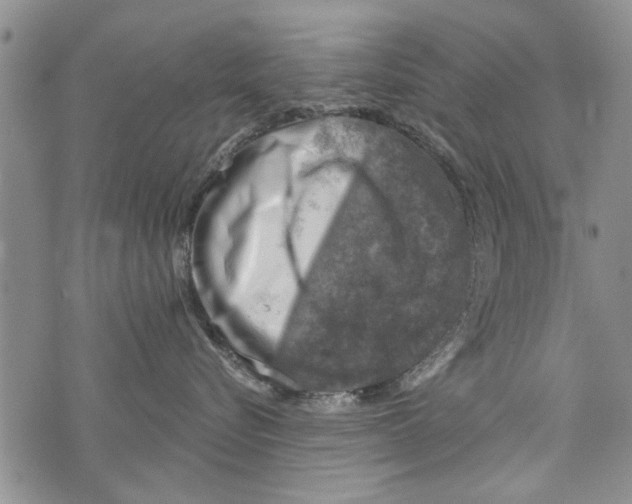 X0000073890576200609082126