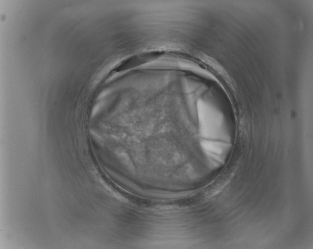 X0000073890577200609082125