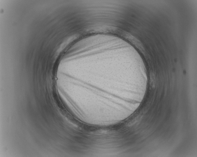 X0000073890578200609082125