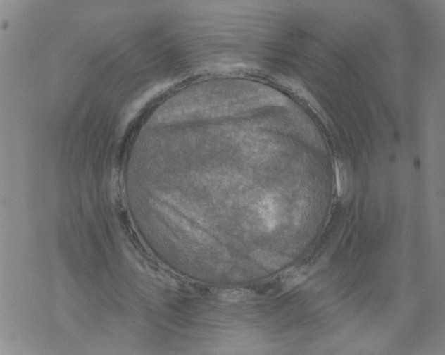 X0000073890579200609082125