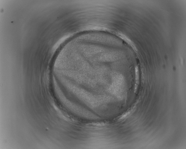 X0000073890580200609082125