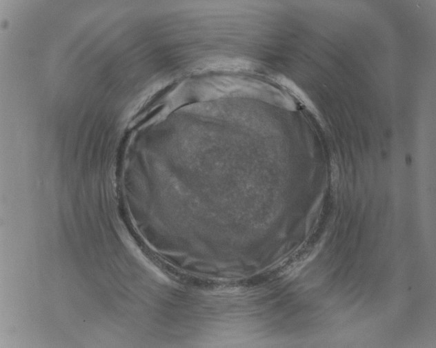 X0000073890581200609082125