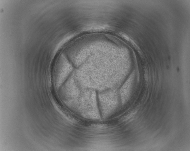 X0000073890582200609082125