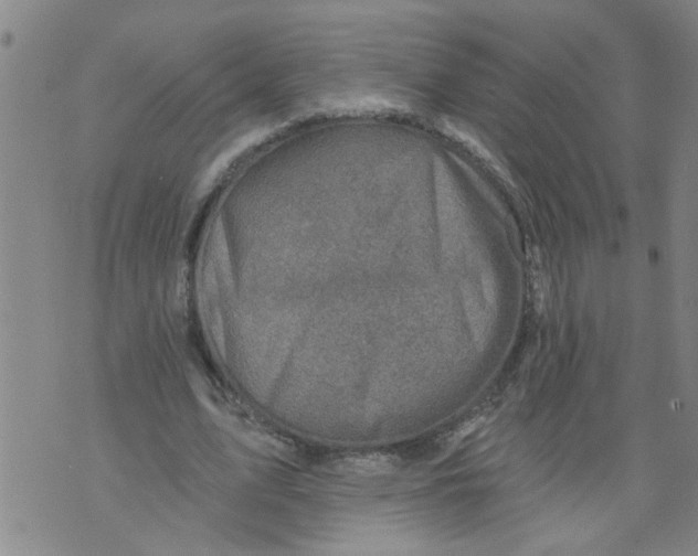 X0000073890583200609082125