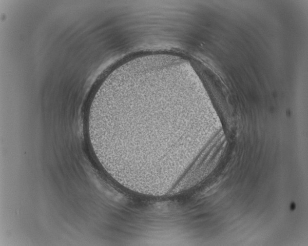 X0000073890584200609082125