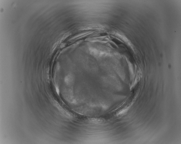 X0000073890585200609082125