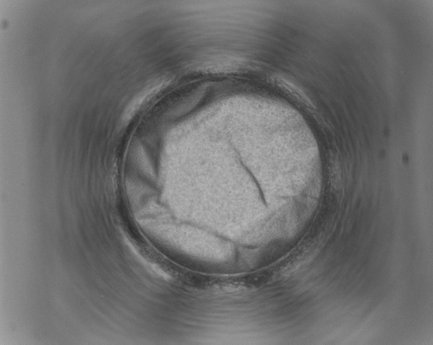 X0000073890586200609082125