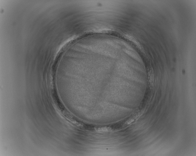 X0000073890587200609082125