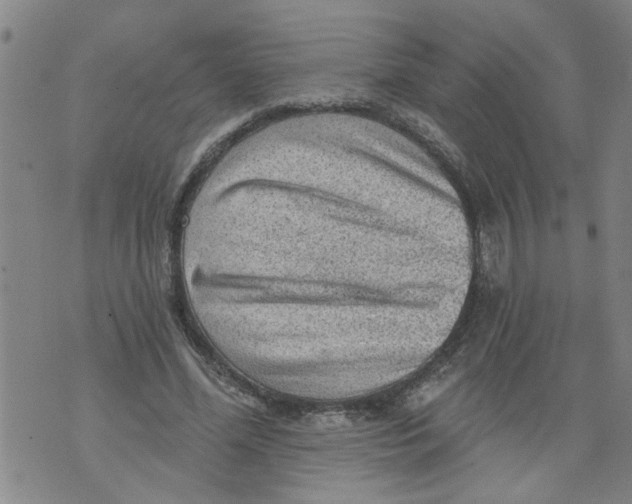 X0000073890588200609082125