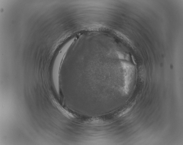 X0000073890589200609082125