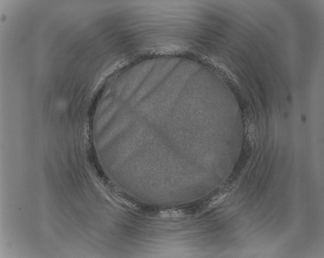 X0000073890591200609082125