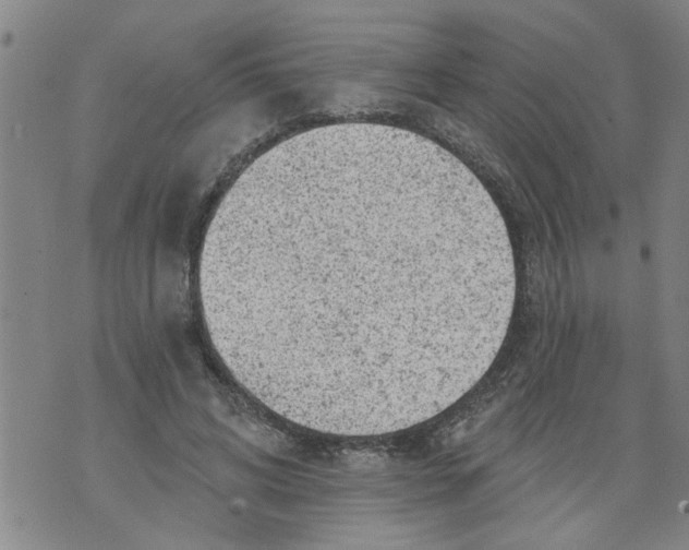 X0000073890592200609082125