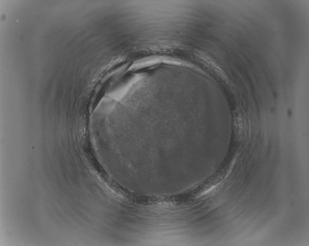 X0000073890593200609082125