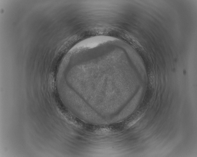 X0000073890594200609082125