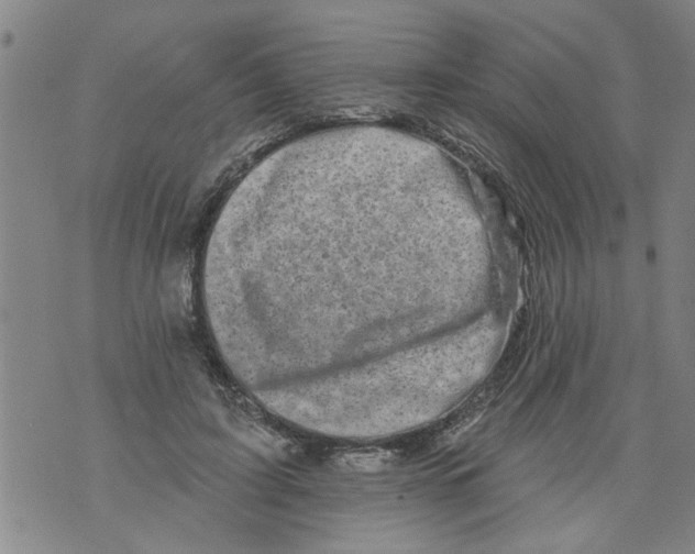 X0000073890595200609082125