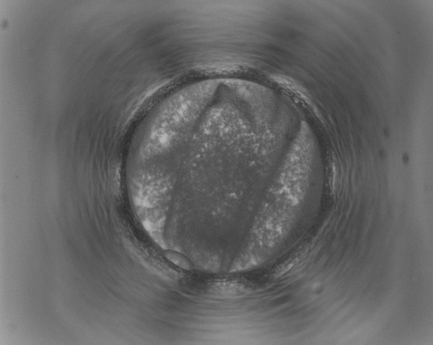 X0000073890596200609082125