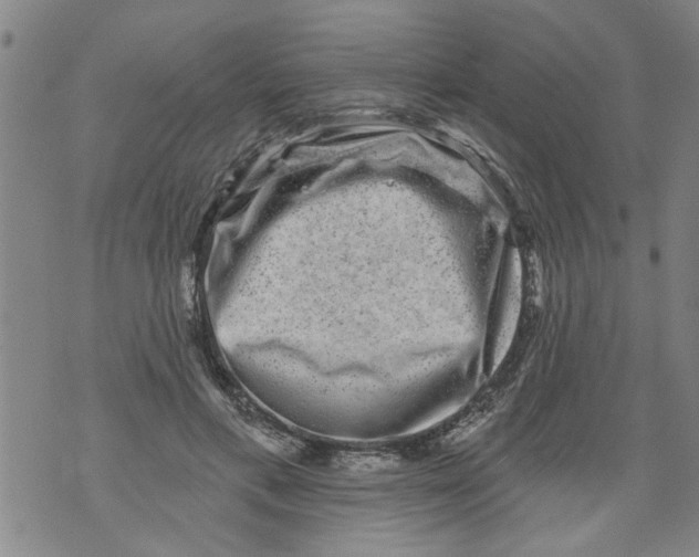 X0000073890597200609082125