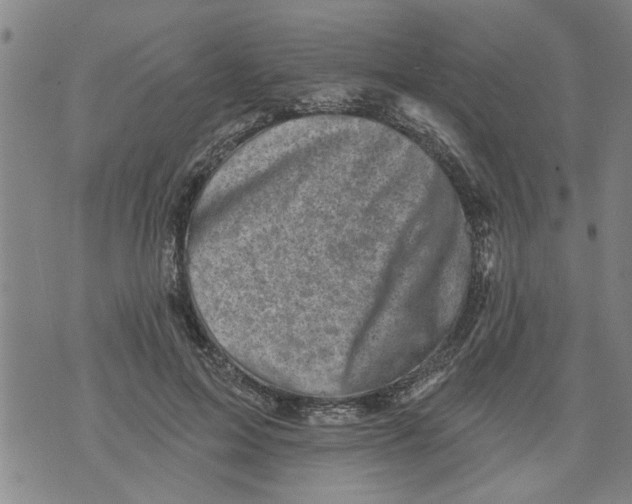 X0000073890599200609082125