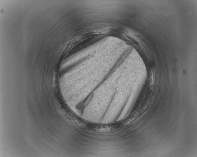 X0000073890600200609082125