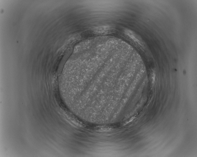 X0000073890601200609082125