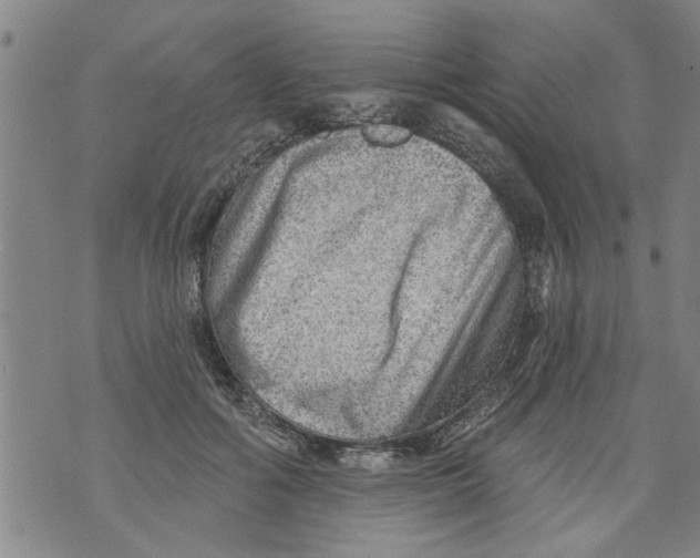 X0000073890602200609082125