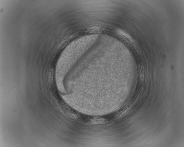 X0000073890603200609082125