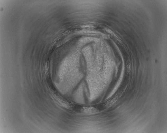 X0000073890605200609082125