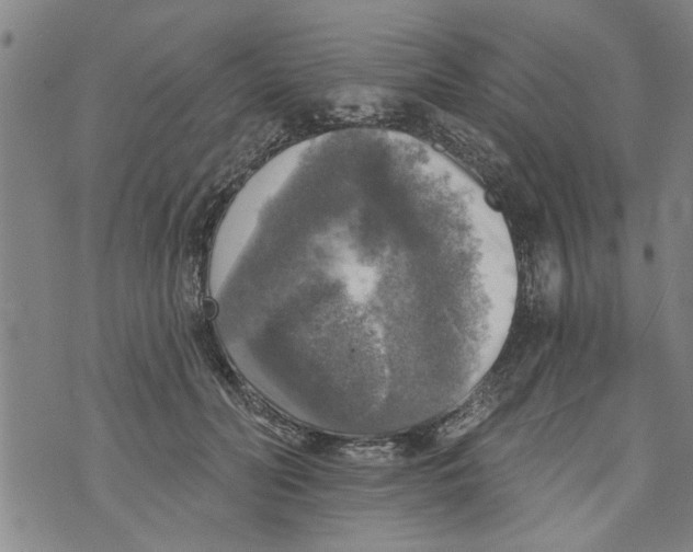 X0000073890606200609082125