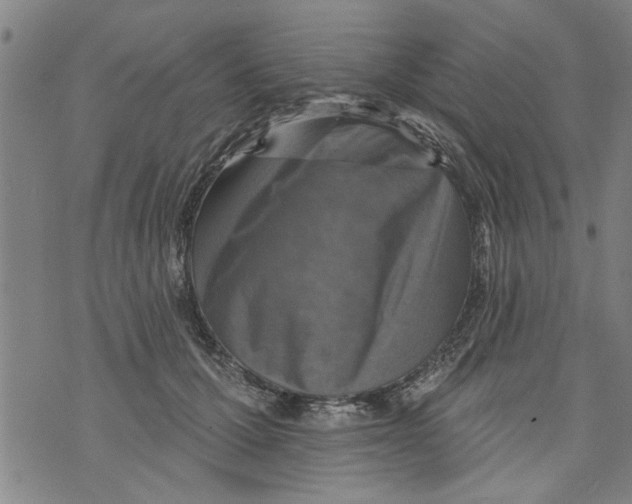 X0000073890607200609082125