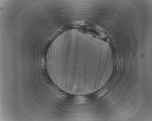 X0000073890610200609082125