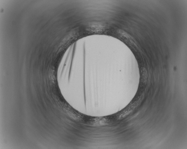 X0000073890612200609082124