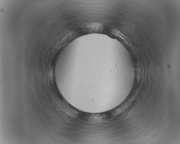 X0000073890613200609082124