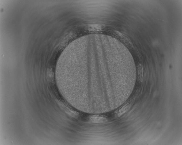 X0000073890614200609082124