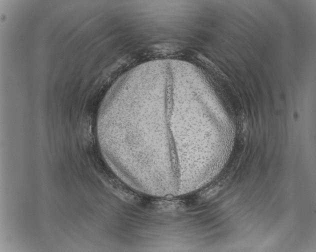 X0000073890615200609082124