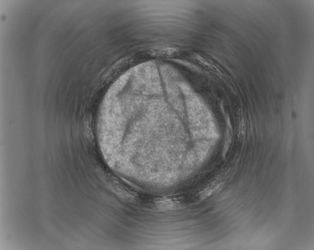 X0000073890616200609082124