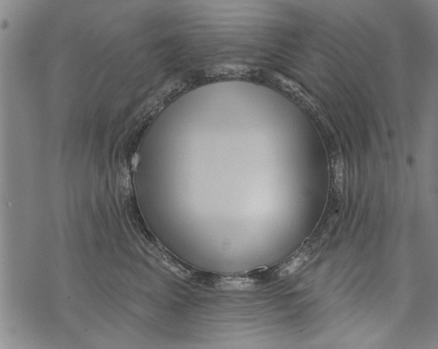 X0000073890617200609082124