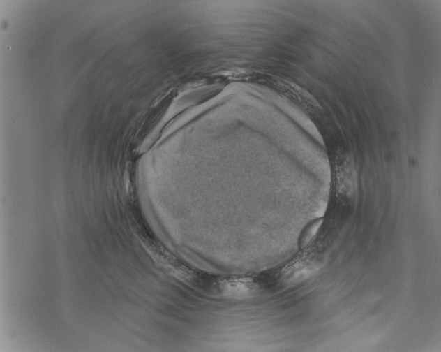 X0000073890618200609082124