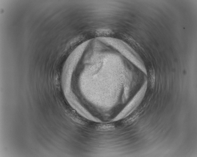 X0000073890619200609082124