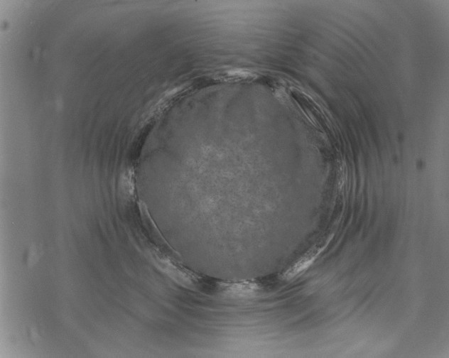 X0000073890621200609082124