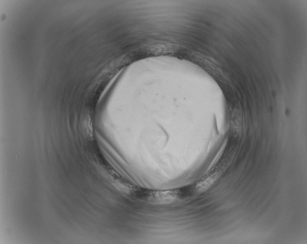 X0000073890622200609082124