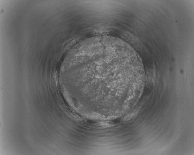 X0000073890623200609082124