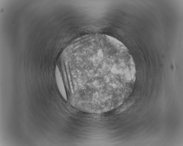 X0000073890624200609082124