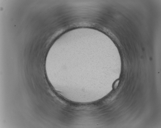 X0000073890625200609082124