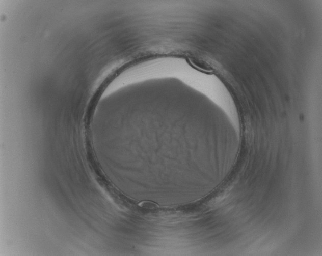 X0000073890626200609082124