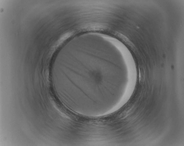 X0000073890627200609082124