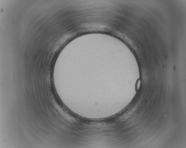 X0000073890629200609082124